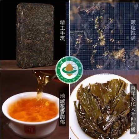 七星茯