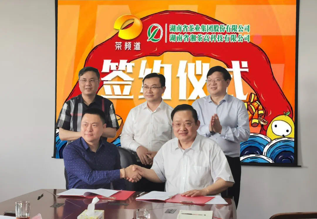 院士見證，輕輕茶發(fā)力品牌建設(shè)，與茶頻道達(dá)成深度合作