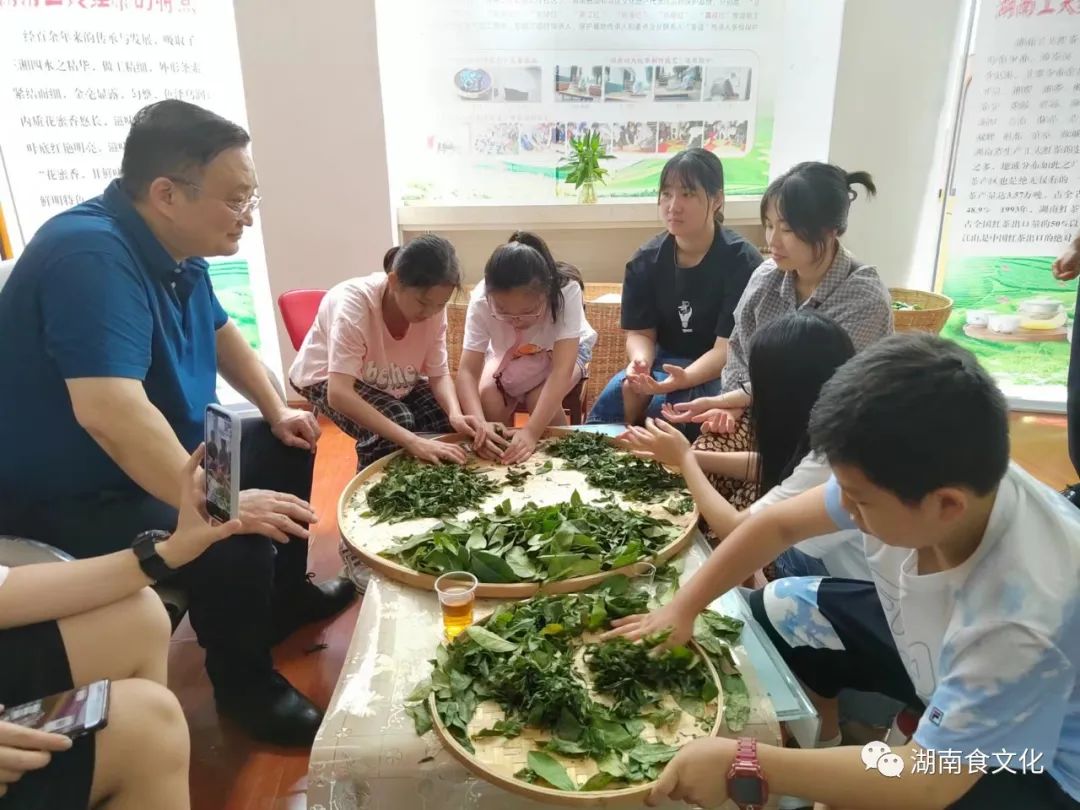 原載人民日報“人民視點”茶葉是怎樣做出來的？湖南大、中、小學(xué)生體驗湖南工夫紅茶制作